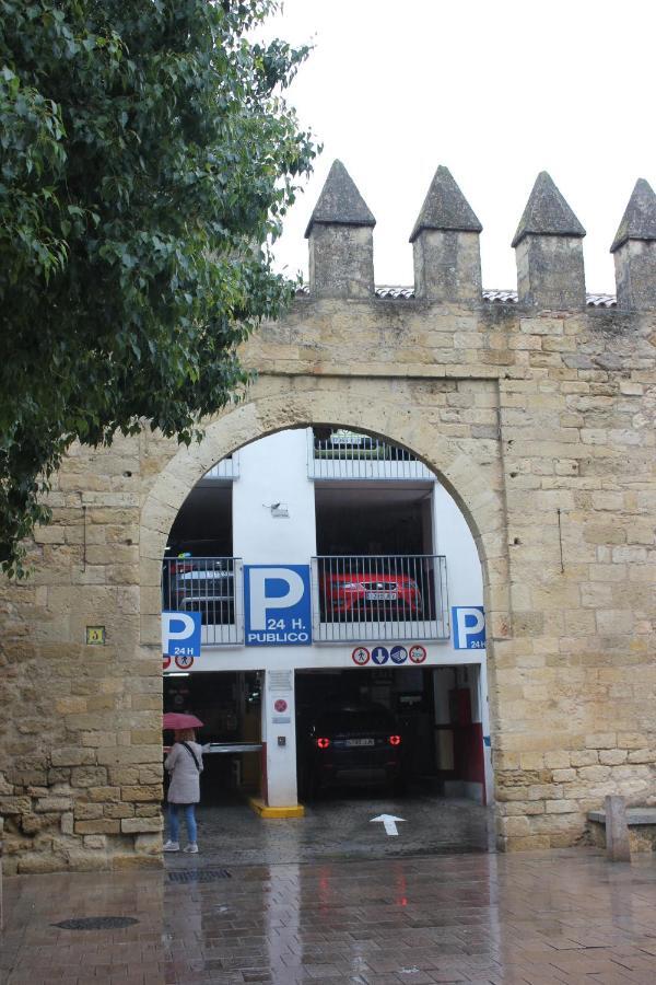 Loft Turistico En Casco Historico, Wifi Y Tv Satelite Gratis Apartment Kordoba Bagian luar foto
