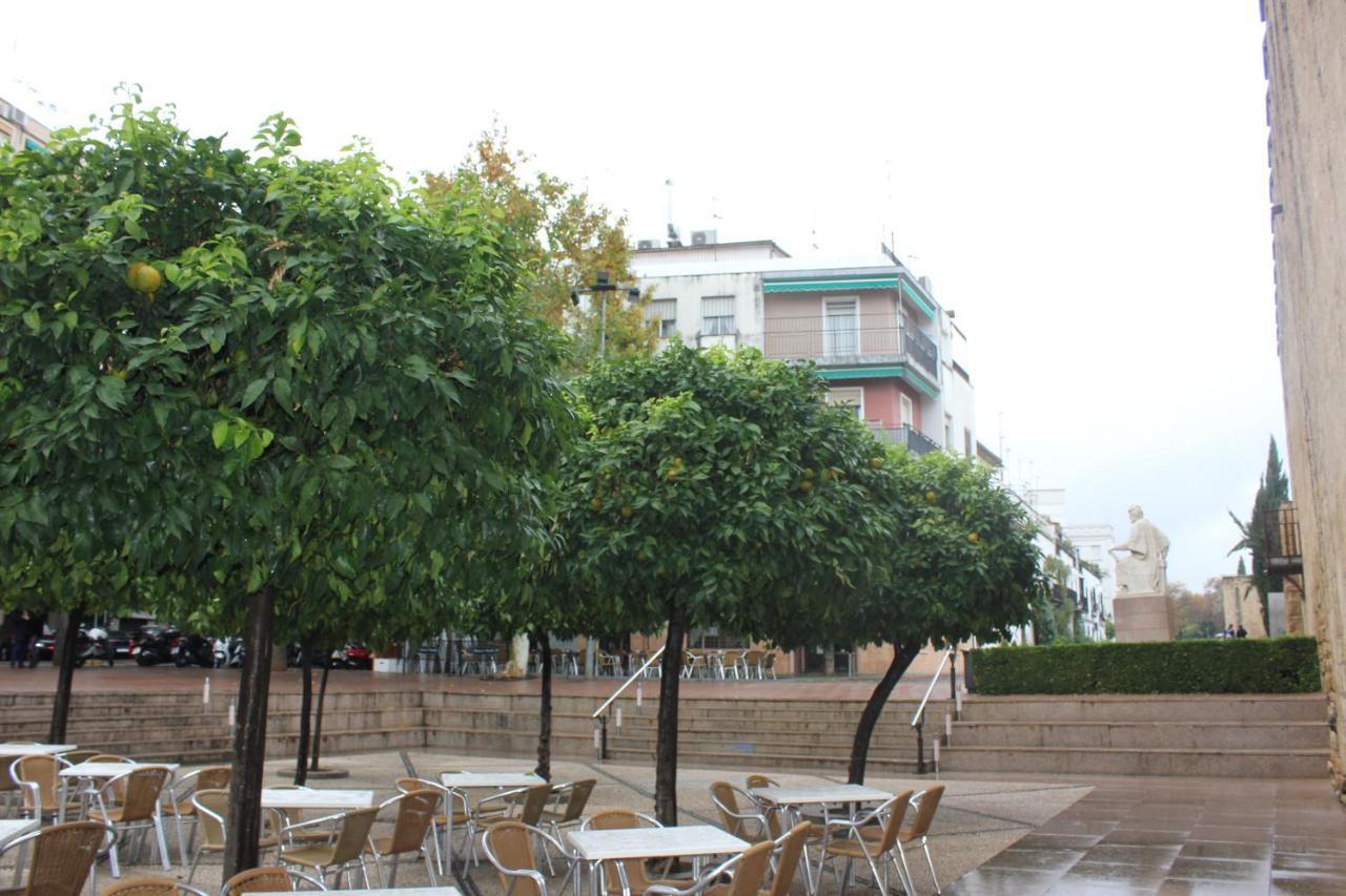 Loft Turistico En Casco Historico, Wifi Y Tv Satelite Gratis Apartment Kordoba Bagian luar foto